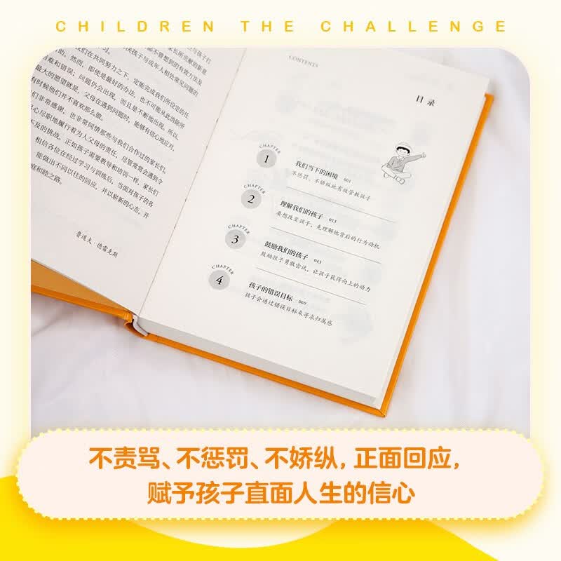 孩子：挑战（正面管教理念先驱者德雷克斯40年心血力作！儿童心理学奠基之作）详情图