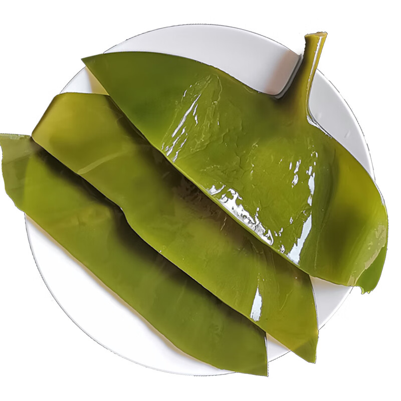 伊乐尕大连海带头 盐渍新鲜特厚海带根 海带条丝结昆布 1000g 精选小