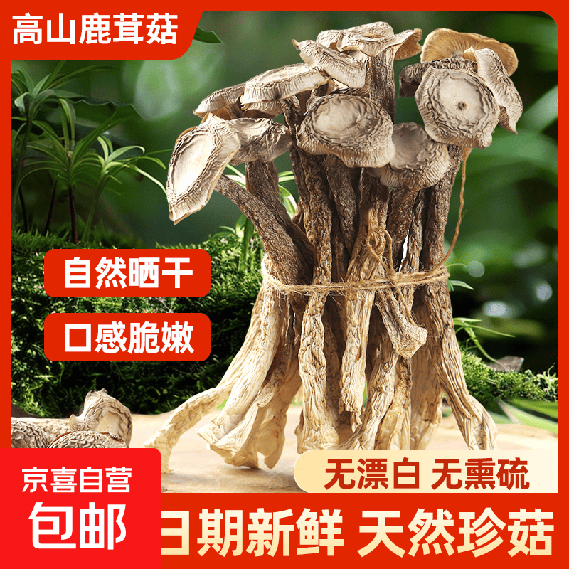 特级鹿茸菌干货净重无干燥剂天然山珍家用炖排骨鲜掉眉香菇干货 1袋（50g*1袋）