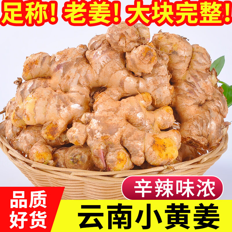 中鲜生云南小黄姜新鲜生姜现挖老姜精选黄姜月子姜生鲜蔬菜 2年老姜净重5斤【品质之选 做回头客】