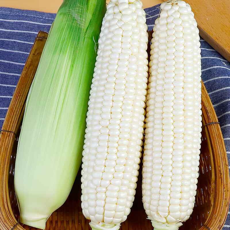 中鲜生白糯玉米新鲜玉米 单果200g+ 新鲜蔬菜甜玉米 源头直发包邮 净重5斤 【约5-8根】