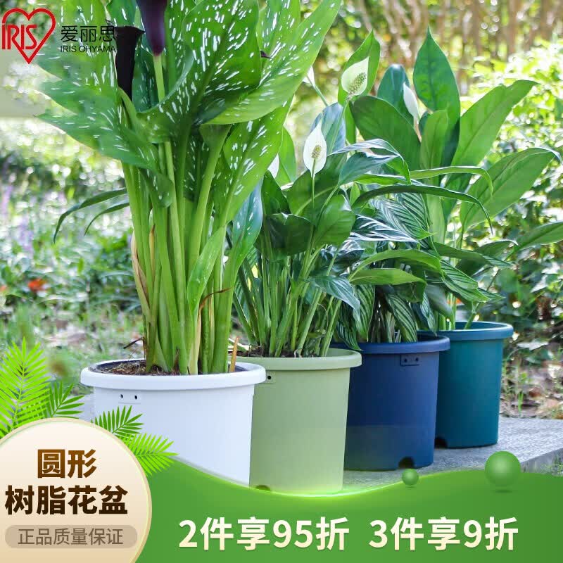 爱丽思花盆塑料圆形树脂多肉花盆种花种菜盆绿萝爱丽丝 浅绿口径20.3cm