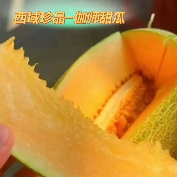 乡疆甜语新疆地标产品特色伽师瓜哈密瓜新鲜水果哈蜜瓜网纹瓜新鲜蜜瓜 【京东包邮】6-8斤装1枚装【高品质送礼装】