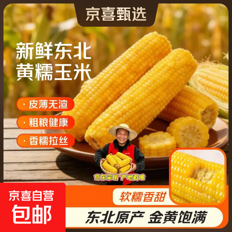 开源保丰东北黄糯玉米真空包装粗粮大棒礼盒低脂新鲜苞米即食代餐 【福利】头茬黄糯米220g*5支