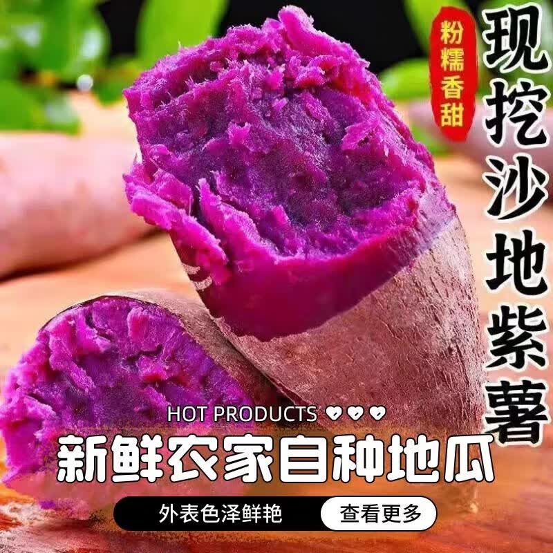 【京东速运】新鲜紫薯板栗红薯番薯蜜薯紫罗兰健康减脂农家自种 5斤 礼盒精品果【100克-300克】个头均匀
