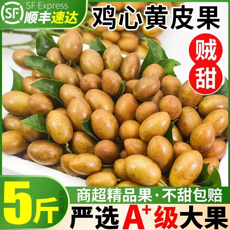 三萌果蔬广东鸡心黄皮果【顺丰冷链闪送】当季特产新鲜水果节日送礼 3斤精选装【80%人选-超超划算】净重2斤 A+级精品果【酸甜多汁】冷链速发