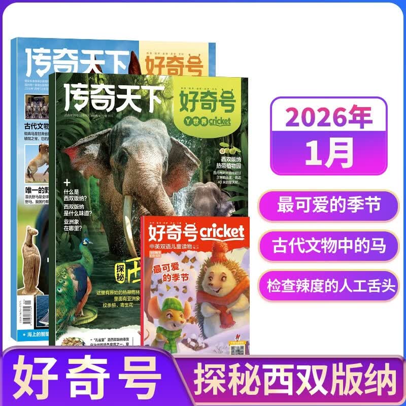 【现货包邮】7-15岁青少年暑期阅读 好奇号/万物单期杂志订阅 2025/2026年订阅 小学生课外阅读科普百科知识拓展 通识教育兴趣培养 语文写作素材积累少儿阅读 杂志铺杂志订阅暑期阅读包 【现货】
