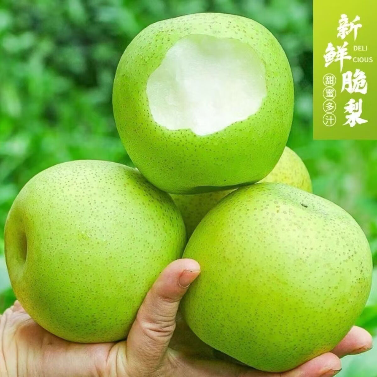格沃斯(GEWOSI)安徽砀山梨皇冠梨青皮梨水果新鲜梨子应季水果超市 带箱2斤精选装大果200g+