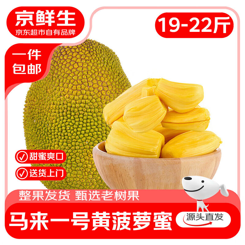 京鲜生海南黄肉菠萝蜜净重19斤+ 一整个大新鲜水果生鲜源头直发包邮