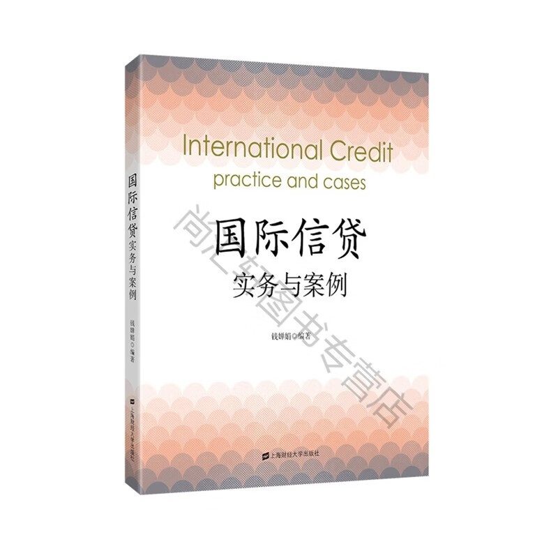 信贷实务与案例 钱婵娟 上海财经大学出版社F.2714
