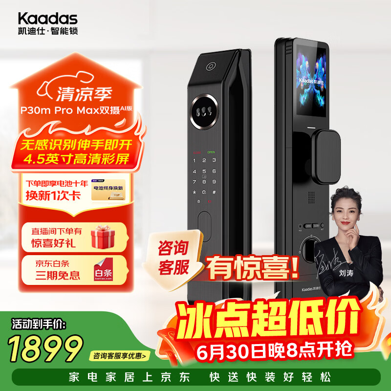 凯迪仕（KAADAS）P30M Pro Max双摄 AI版智能门锁 高清大屏猫眼智能锁指纹密码锁