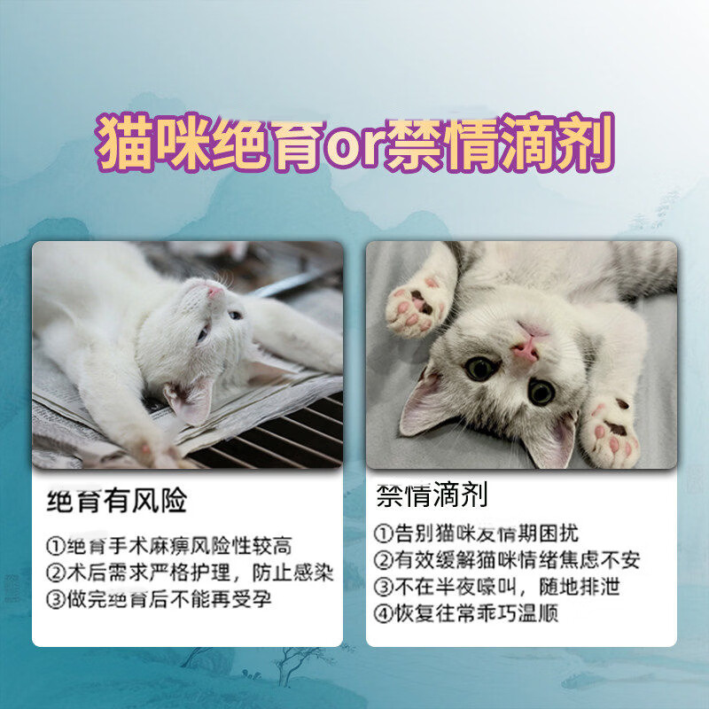 鑫非凡猫咪发情抑制片公母猫防乱叫专用抑情片宠物禁情片终身避孕绝育用 买五送三【永不再犯】