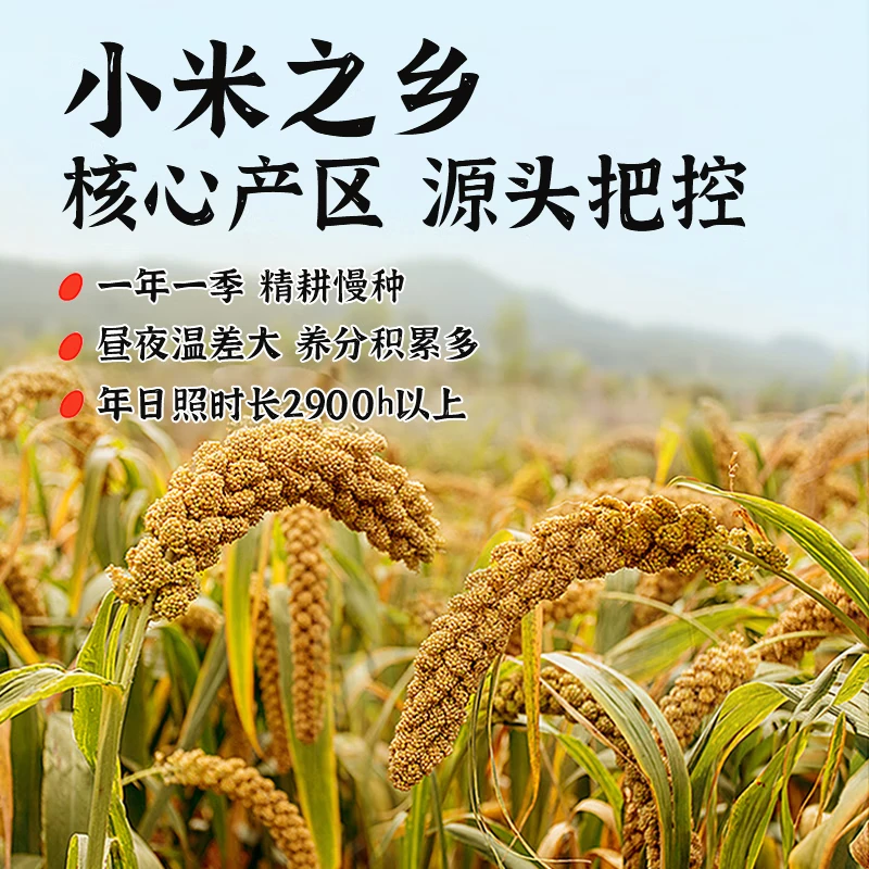 阳曲黄小米53g*3袋 1.5元 - 86线报