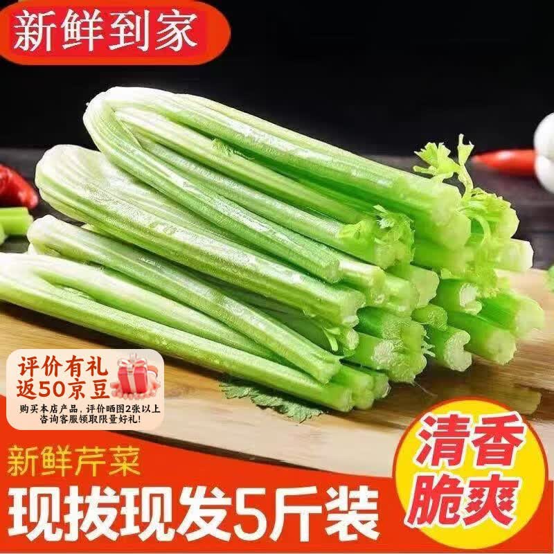 臻菜嫂山东大西芹水果西芹瘦身减脂去叶新鲜蔬菜新鲜榨汁源头直发包邮 西芹5斤（泡沫箱装）