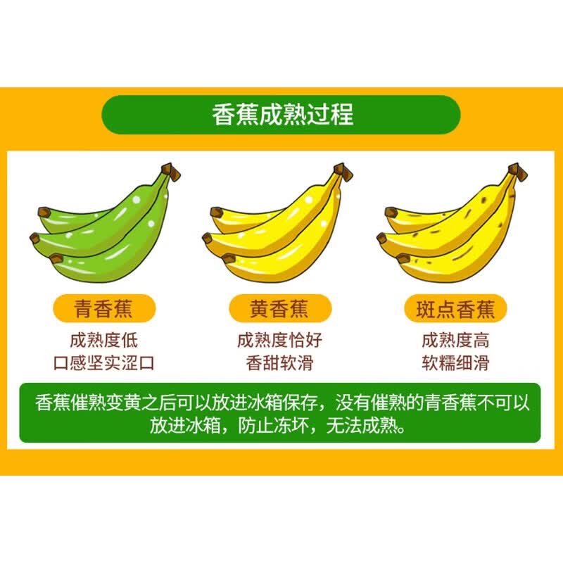 静益乐源云南大香蕉 新鲜香蕉水果 9斤装