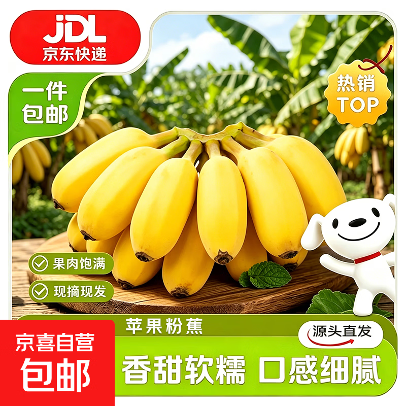广东湛江现摘苹果蕉当季生鲜新鲜水果软糯香甜香蕉源头直发包邮 广东苹果蕉 净重4.5斤
