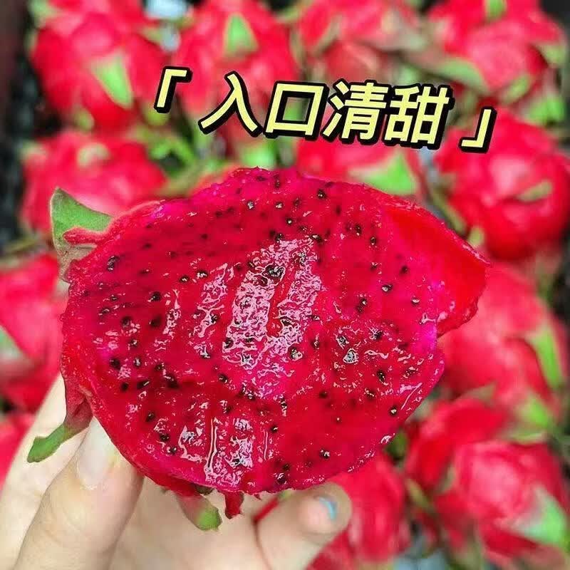 单果300g起】金都一号红心火龙果当季甜红肉正宗应季热带水果批发 净重4.5斤 300g-400g中果