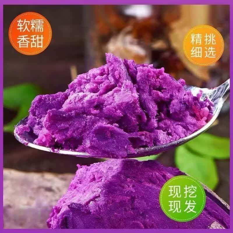 九曲食珍广西新鲜紫薯 当季精品紫薯地瓜 软糯香甜健康轻食生鲜蔬菜 中果净重4.5斤（单果150-400g）