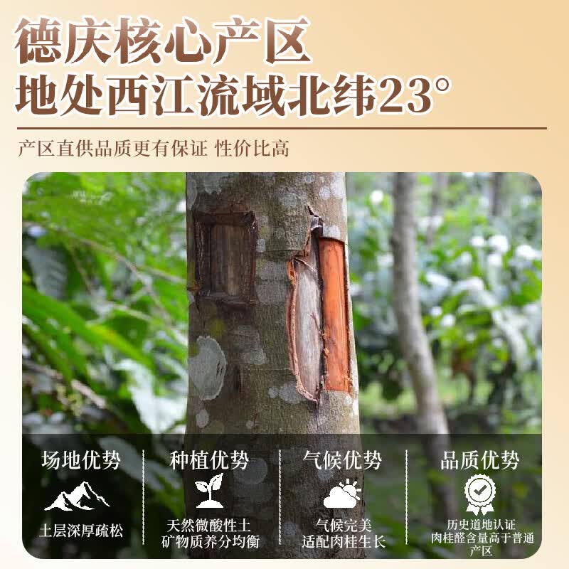 桂暖去皮肉桂条特级中药材煮茶调酒热红酒烘焙咖啡用扩香装饰肉桂棒 【第二件半价】 150g*2罐