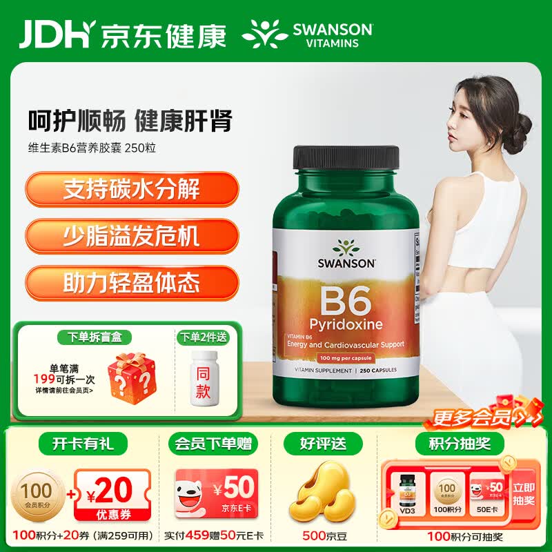 斯旺森（SWANSON）维生素B6营养胶囊 VB族6营养素控油护头皮促进心血管健康 250粒  250粒*1瓶