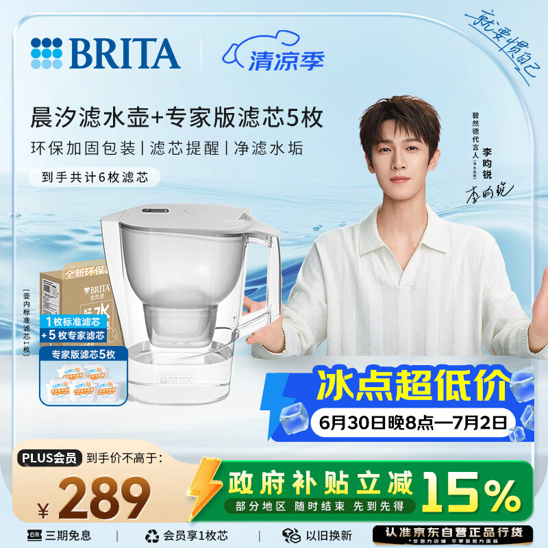 碧然德（BRITA）过滤净水器 家用滤水壶 Kalea 晨汐系列XL  3.5L（灰）+专家版滤芯5枚 环保加固包装