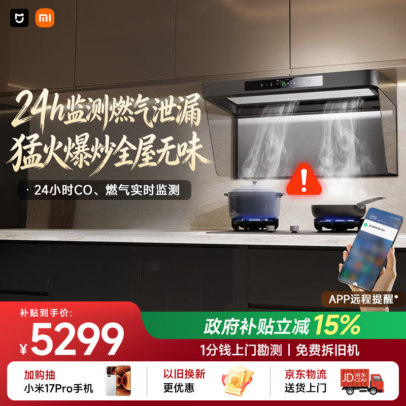 米家小米抽吸油烟机炉灶套装净烟机P2以旧换新上门安装家用大吸力 【高热效燃气灶套装】MJ06CY
