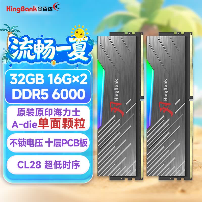 金百达（KINGBANK）32GB(16GBX2)套装 DDR5 6000 台式机内存条海力士A-die颗粒 黑刃RGB灯条 C28 Deepseek硬件