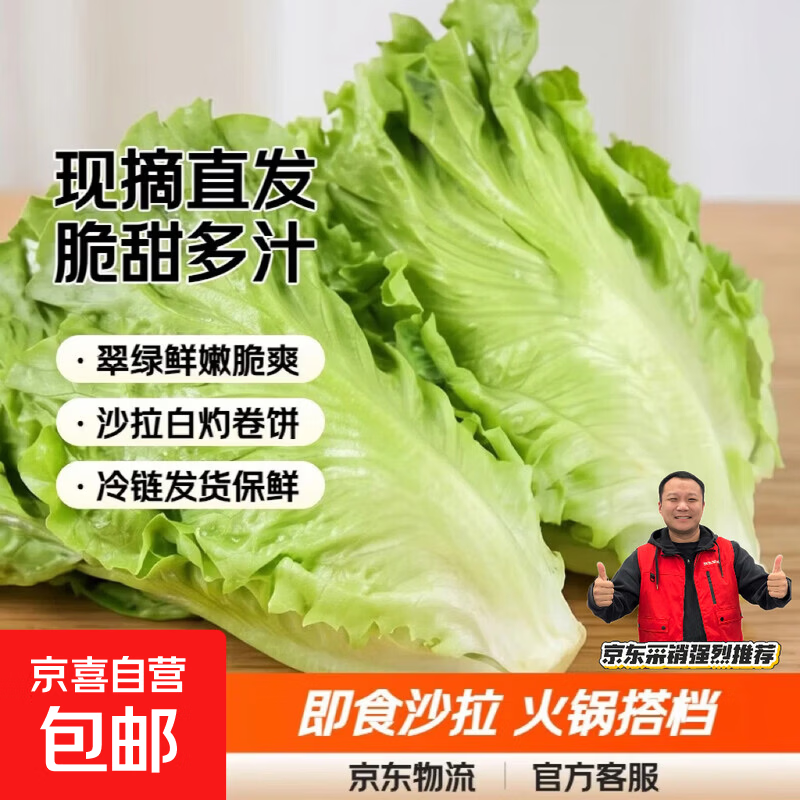生吃意大利奶油生菜新鲜生菜即食沙拉蔬菜火锅烤肉整箱烧烤涮菜 地头现摘 鲜嫩脆甜【冷链发货】 整箱2斤（净重1.6斤）