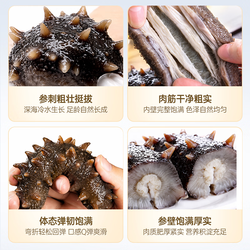 元宝岛大连即食海参 不注水免泡发底播辽刺参 海鲜水产生鲜礼品礼盒 【大号海参分享装】1kg丨10-16只丨2斤礼盒装