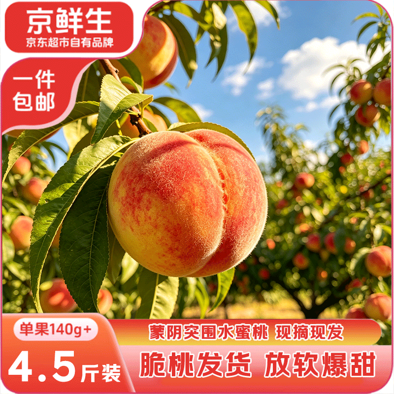 京鲜生突围水蜜桃净重4.5斤 单果140g+ 蒙阴蜜桃 桃子生鲜水果 源头直发