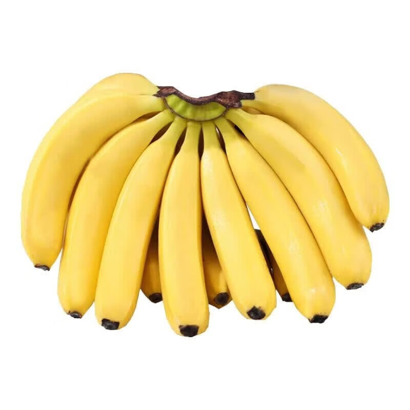 静益乐源云南大香蕉 新鲜香蕉水果 9斤装 京东折扣/优惠券