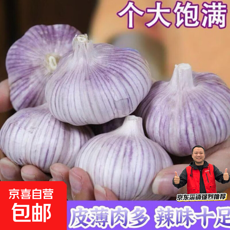 京喜加【东东买菜】足干2025大蒜头网兜紫白皮干蒜批发红皮蒜子特级新鲜 山东精品网兜大蒜6头装净重185g