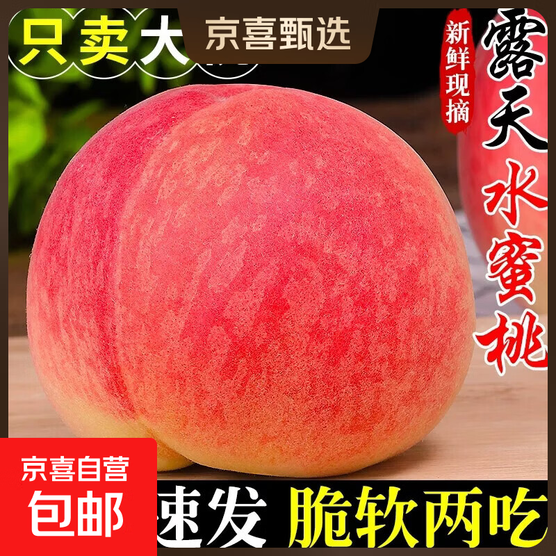 新鲜露天水蜜桃当季现摘毛桃子时令水果脆甜春雪蜜桃大果孕妇整箱 5斤（净重4.5）单果150g左右