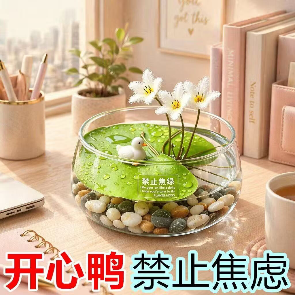 【花仙子】一叶莲水培无土好养办公室桌面鱼缸造景治愈系绿植A 【带花苞】焦虑盆+一叶莲+小鸭了 【带花苞】