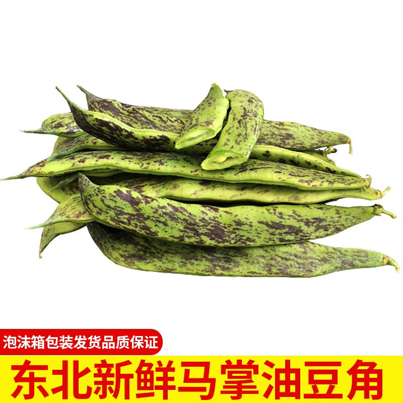 zxc发顺丰东北马掌豆角头茬油豆角油豆花豆角花道油豆角扁豆角开锅烂