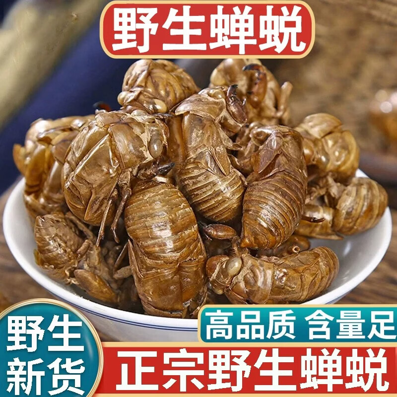 华佰医广西精选蝉蜕新货中药材蝉蜕壳蝉壳蝉衣蝉皮蝉退虫退知了壳皮 蝉蜕 300g*1袋