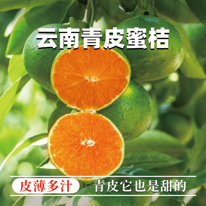 异果恋云南青皮蜜桔【闪送-多地次日达】橘子应季蜜橘当季桔子新鲜水果 大果3斤【果径65mm+:约18-24个】