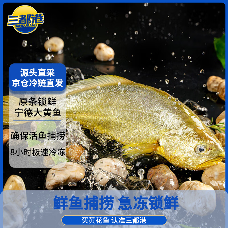 三都港 冷冻黄花鱼1kg/3条装 大黄鱼 生鲜 鱼类 深海鱼 海鲜 中秋礼品