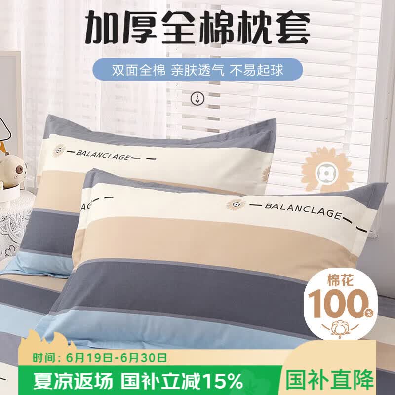 艾薇 A类枕头套纯棉家用全棉单人枕套一对枕芯套 罗马时代 48*74cm