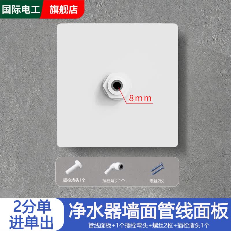 国际电工净水器水管墙面安装面板净水机管子插座管线机饮水机2分pe管插板 白色【2分单进单出】净水器盖板
