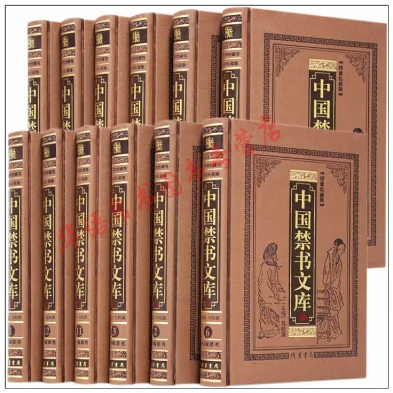 中国禁书文库套装全12册皮面精装中国古代禁毁言情小说历代明清小说孤本小说