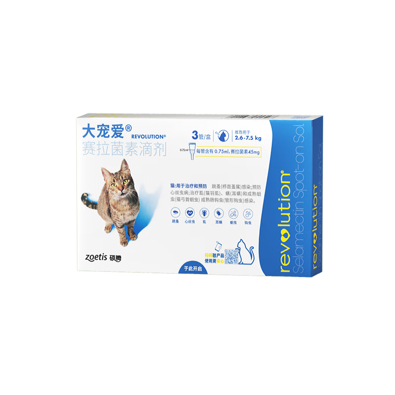 献给青铜铲屎官｜500买的狗却花了5000配齐装备，新手养宠需要哪些刚需品，胡子带你一起选～