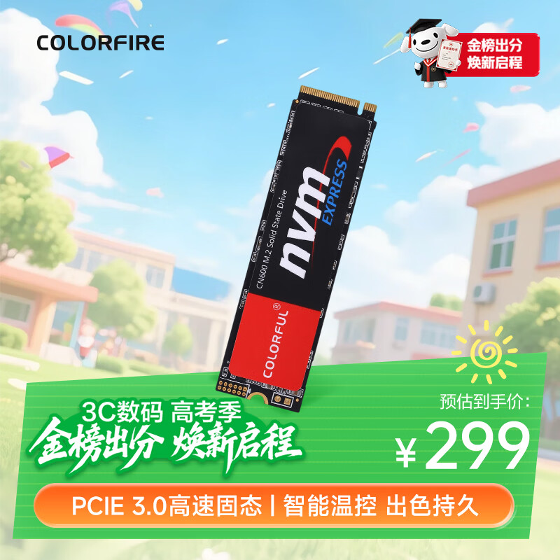 七彩虹（Colorful）256GB SSD固态硬盘 M.2接口(NVMe协议)  CN600系列PCIe 3.0 x4 openclaw兼容