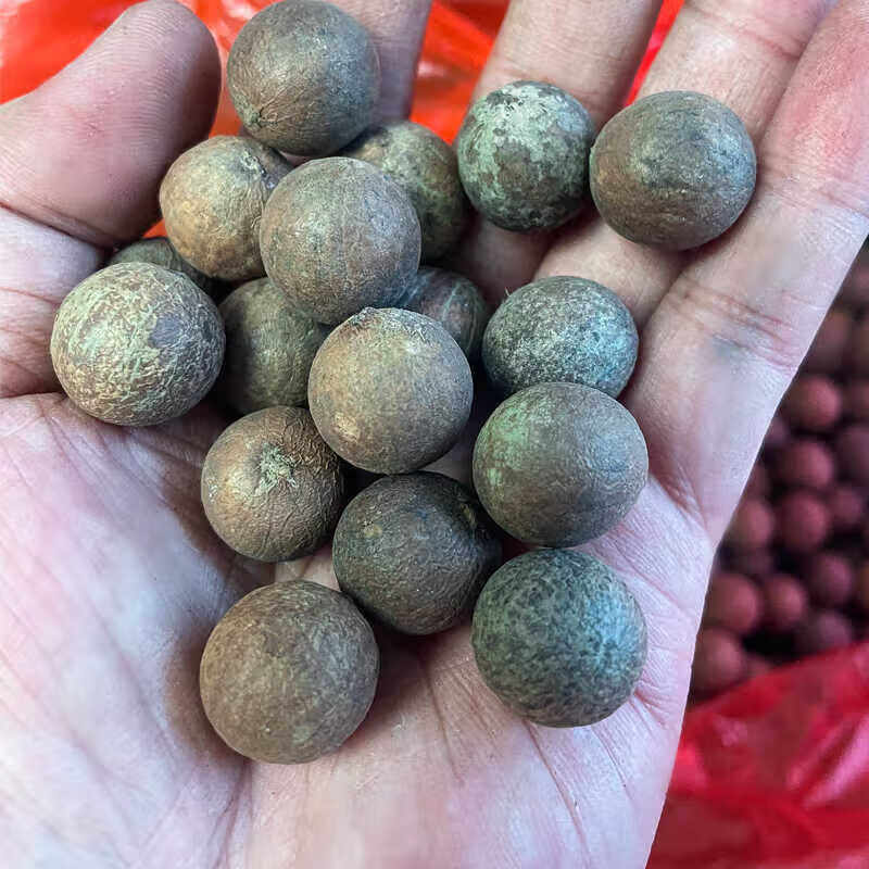 菩提子原籽白玉菩提根原籽原果未打磨原料贝叶棕去皮大果散珠风化 带皮20-22mm一斤装【约60颗】