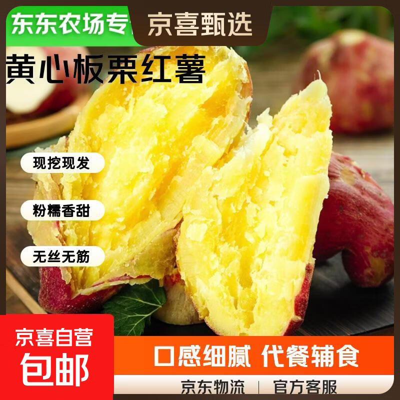 【东东农场专供】陕西正宗临潼板栗红薯粉面香甜新鲜现挖源头直发 5斤大果【单果3两起】净重 粉糯香甜