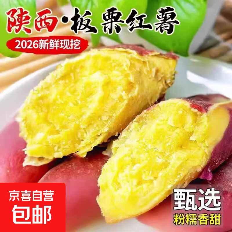 正宗陕西板栗红薯新鲜现挖现发农家当季自种红薯新鲜红薯 带箱10斤装（净重9斤） 单果150-400g