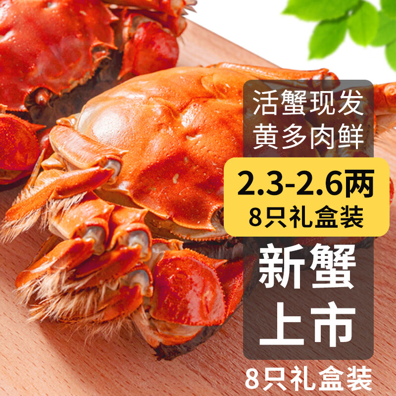 【活蟹】乾澄大闸蟹现货 六月黄2.3-2.6两 8只 去绳足重鲜活螃蟹河蟹海鲜礼盒源头直发