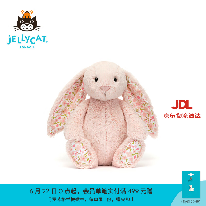Jellycat花布邦尼兔动物毛绒玩偶兔子玩偶儿童娃娃送礼生日礼物 彻蕊（胭脂粉色） Medium