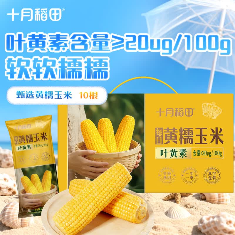 十月稻田 黄甜糯玉米 10根 4.4斤 东北甜黏玉米棒 早餐 杂粮礼盒