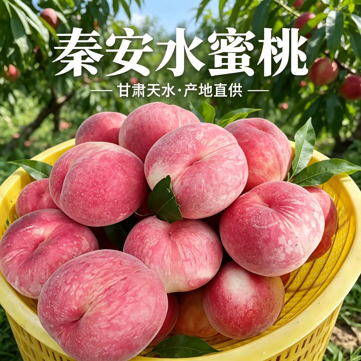 甘肃天水秦安水蜜桃水果新鲜桃子礼盒当季新鲜包邮多地次日达 10颗实惠中果尝鲜单果3-4两（果小慎拍）